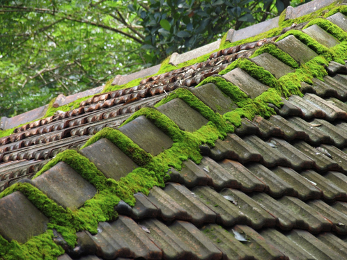 Démoussage de toiture dans l'Aisne