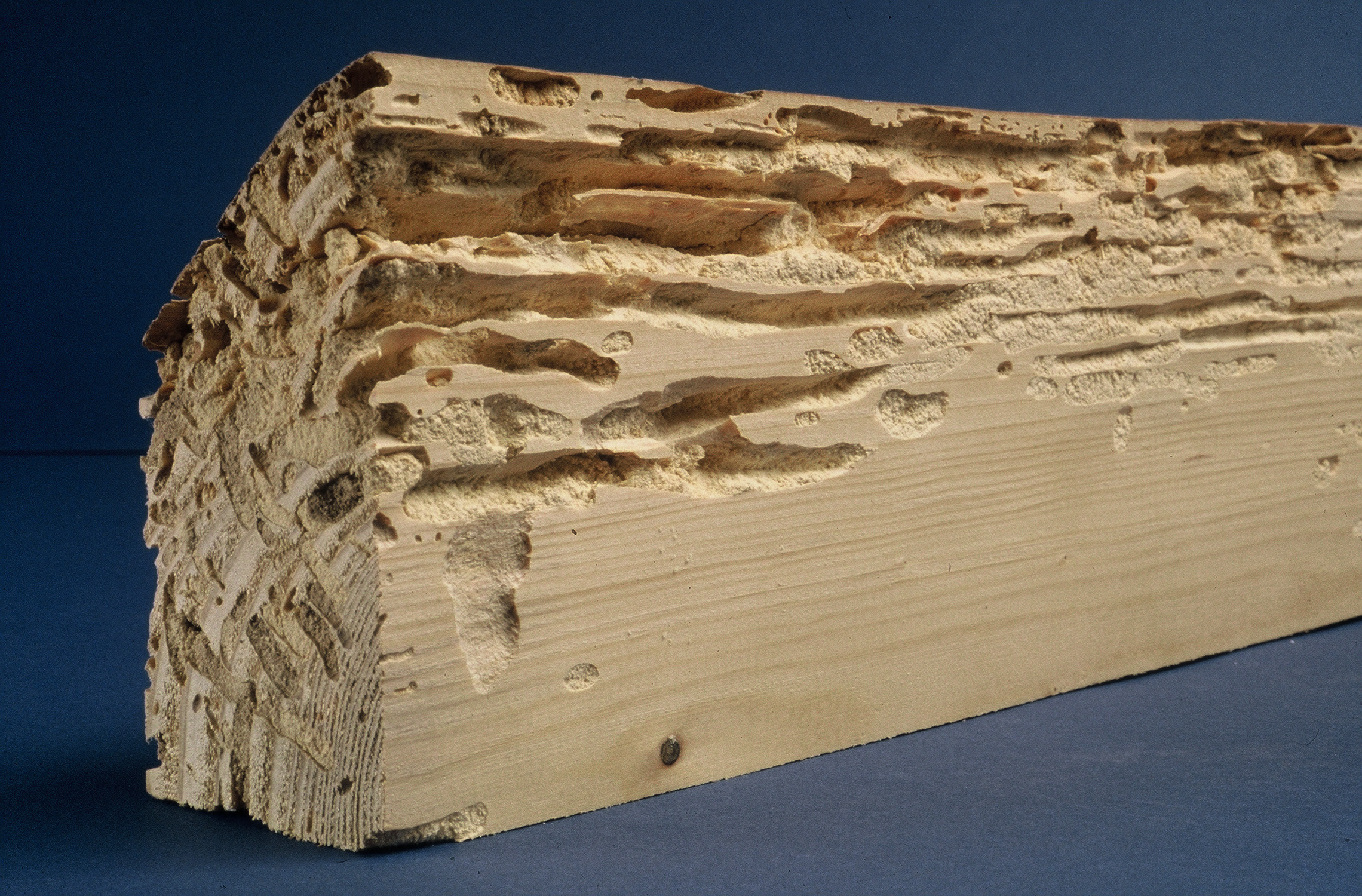 Traitement de charpente, bois à Laon